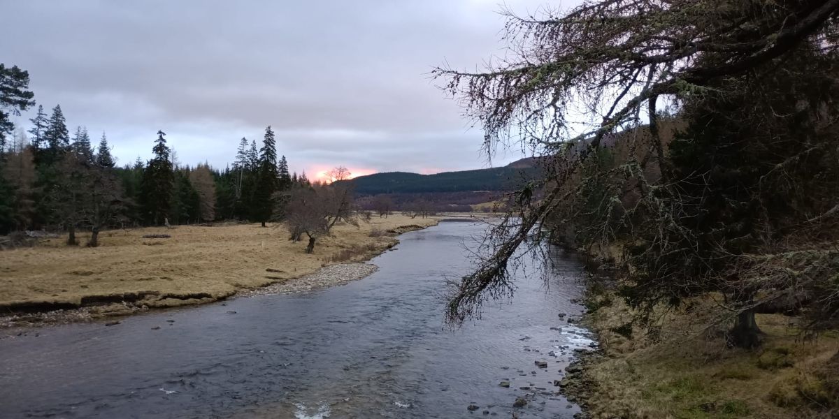 River Tweed flowing through Scottish borders