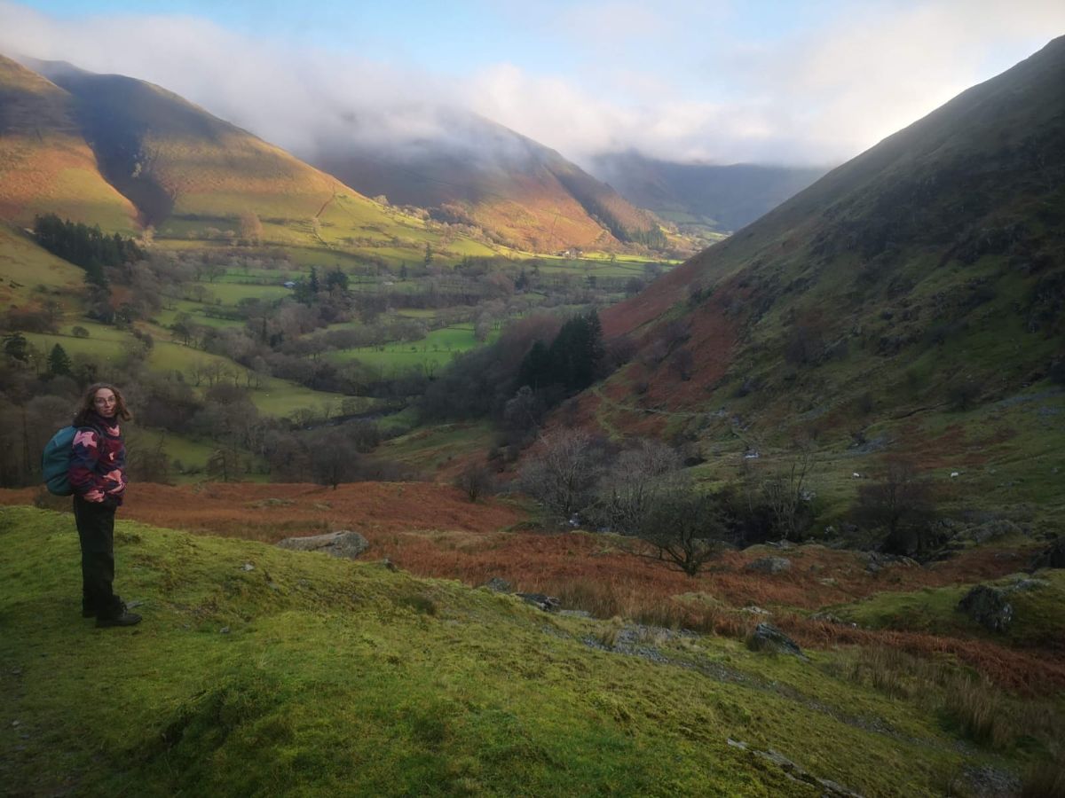 Hiker overlooking Aran Fawddwy valley, Wales